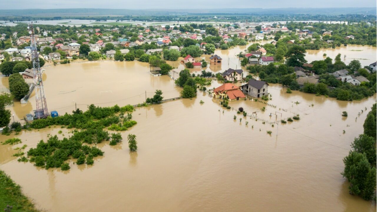 Flooded farmland during La Niña leading to nutrient leaching and oxygen-deprived roots.