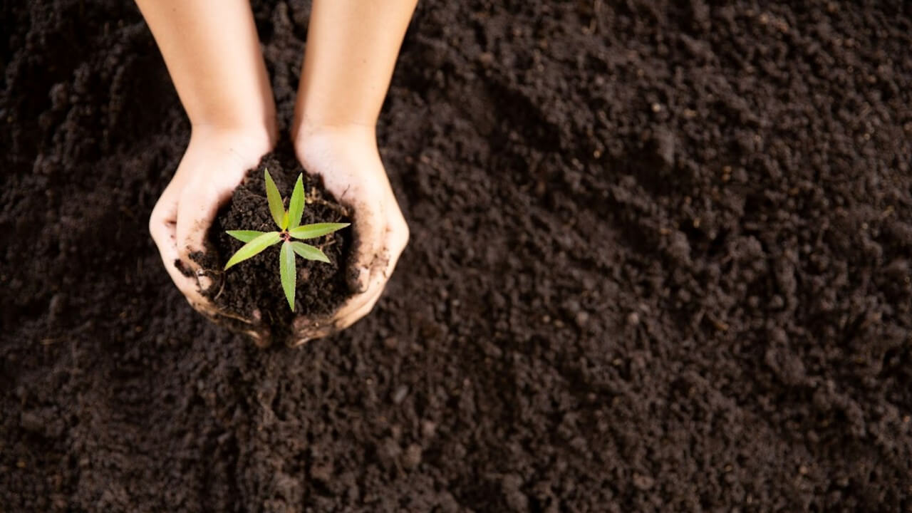 Pulihkan kesihatan tanah secara semula jadi dengan pembajaan organik yang berkesan.